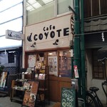 Coyote - 