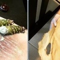 日本料理 梅林 - 