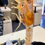 Tachinomizushi Miuramisakikou Megumisuisan - 海鮮丼ランチ@1280の海老