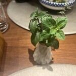 草片 - ミント　こちらもちぎってミネストローネへ投入