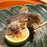 銀座 しのはら - 子持ち鮎　カボス