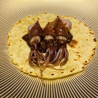 スガラボヴィー - 