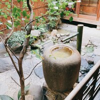 雪梅花 菜根譚 - 