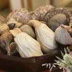 日本料理 隨縁亭 - 中居さんが秋が旬の貝類をテーブル席まで売りにいらしてたので！