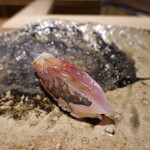 千葉たかおか - 鰺