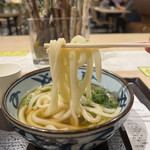 Miyatake Sanuki Udon - 