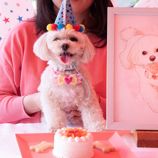 カフェ・スコーラ_2