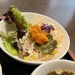 Hyakuroutei - サラダ