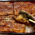 うなぎ大嶋 - 共水うなぎ　特　9,600円