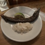 ブイプラス - 