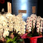 ginzatonkatsuaoki - フォロワー様からの胡蝶蘭も綺麗に飾られていました＾＾