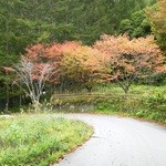 藤原庵 - 周辺風景②