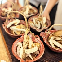 柚木元 - 