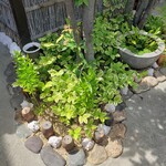 カンティーナ登美 - 