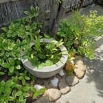 カンティーナ登美 - 