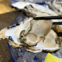四ツ橋・新町 牡蠣と肉たらしビストロAKIRA - 