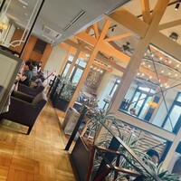 スミレオオサカ - 