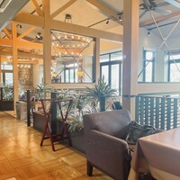 スミレオオサカ - 