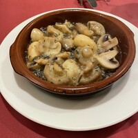 びいどろ 銀座店 -  びいどろ 銀座店 -