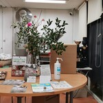 タダイマ コーヒー - 内観③