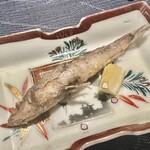 鮨がみ - 2023.9.  メヒカリ