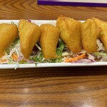 ゴールデン バガン - 