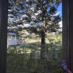 카페 르반 - 실내 좌석에서 바라본 외부 풍경