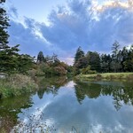 プリムローズ - 