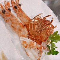 心斎橋鉄板焼き 蓮 - 
