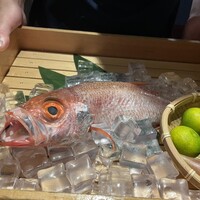 のどぐろ専門 銀座 中俣 - 