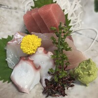 浅草 魚料理 遠州屋 - 