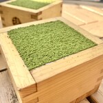 MACCHA HOUSE 抹茶館  - 