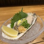 鯖とか烏賊とか真とか - 