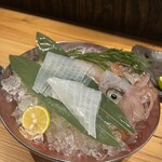 鯖とか烏賊とか真とか - 