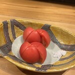 鯖とか烏賊とか真とか - 