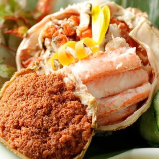 日本海の赤い宝石箱「香箱蟹」