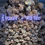 flour+water - 