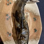 花仙庵 仙仁温泉 岩の湯 - 