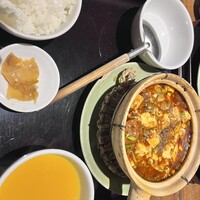 雪梅花 菜根譚 -  雪梅花 菜根譚 -