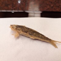 京都祇園 天ぷら八坂圓堂 - 