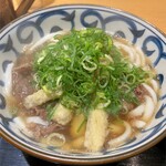 ニクスイハヤト - 肉うどん　デフォでもこのネギの量