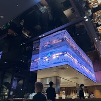 Japanese Restaurant KINZA - 