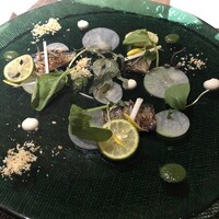 ヴェルデュ都 - 