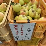 Toyota Ringoen - 本日販売のりんご