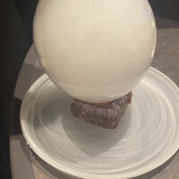 東京焼肉いのうえ 銀座店 -  東京焼肉いのうえ 銀座店 -