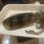 銀座 魚ばか - 