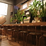 BOSSA - 