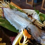 浜焼き白浜家 - 美しい　呼子のイカ　活造り
