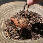 フロリレージュ - 