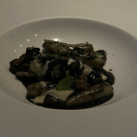 XEX TOKYO / Salvatore Cuomo Bros. - 